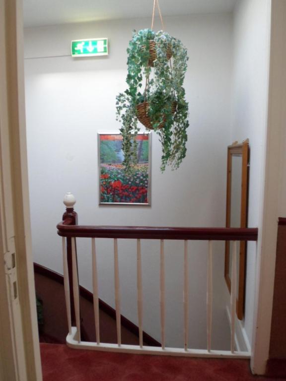 Staten Hotel Хага Екстериор снимка